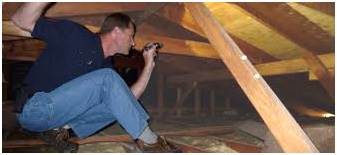 Attic Crawl Space roof inspection