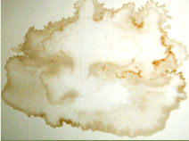 roof leanks - leaking roof