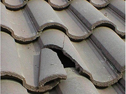 missing shingle - missing shingles - broken shingles